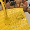 エルメスバーキン 25センチニロティカス Crocodile NiloticusM9 / mimosa ミモザゴールド金具  全手縫いbirkin25-010