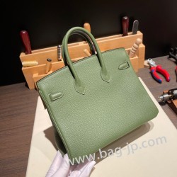 エルメスバーキン 25センチトゴ Togo カノピV6/ Canopeゴールド金具  全手縫いbirkin25-103