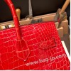 エルメスバーキン 30センチポロサスマットporous Crocodile ブレイズ95 /Braiseゴールド金具 birkin30-003 全手縫い