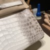 バーキン 30 ヒマラヤワニ革 希少霜降り模様 シルバー金具