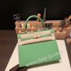 ヴェールクリケット 3I/Vert Criquet ゴールド金具  kelly25-102 全手縫い エルメス ケリー25cm 外縫い ヴォーエプソン Epsom