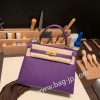 クロッカス 9W /Crocus ゴールド金具  kelly25-106 全手縫い エルメス ケリー25cm 外縫い ヴォーエプソン Epsom