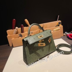 エルメスケリーミニ Kelly bag miniMini Kelly New stock  オーストリッチ ostrich カノピ V6/ /Canope & ヴェールマキ G8 /Vert Maquis ゴールド金具 kellymini-024 全手縫い