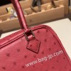 エルメス plume 21 オーストリッチ B5/Ruby ルビー シルバー金具  Plume-003 全手縫い